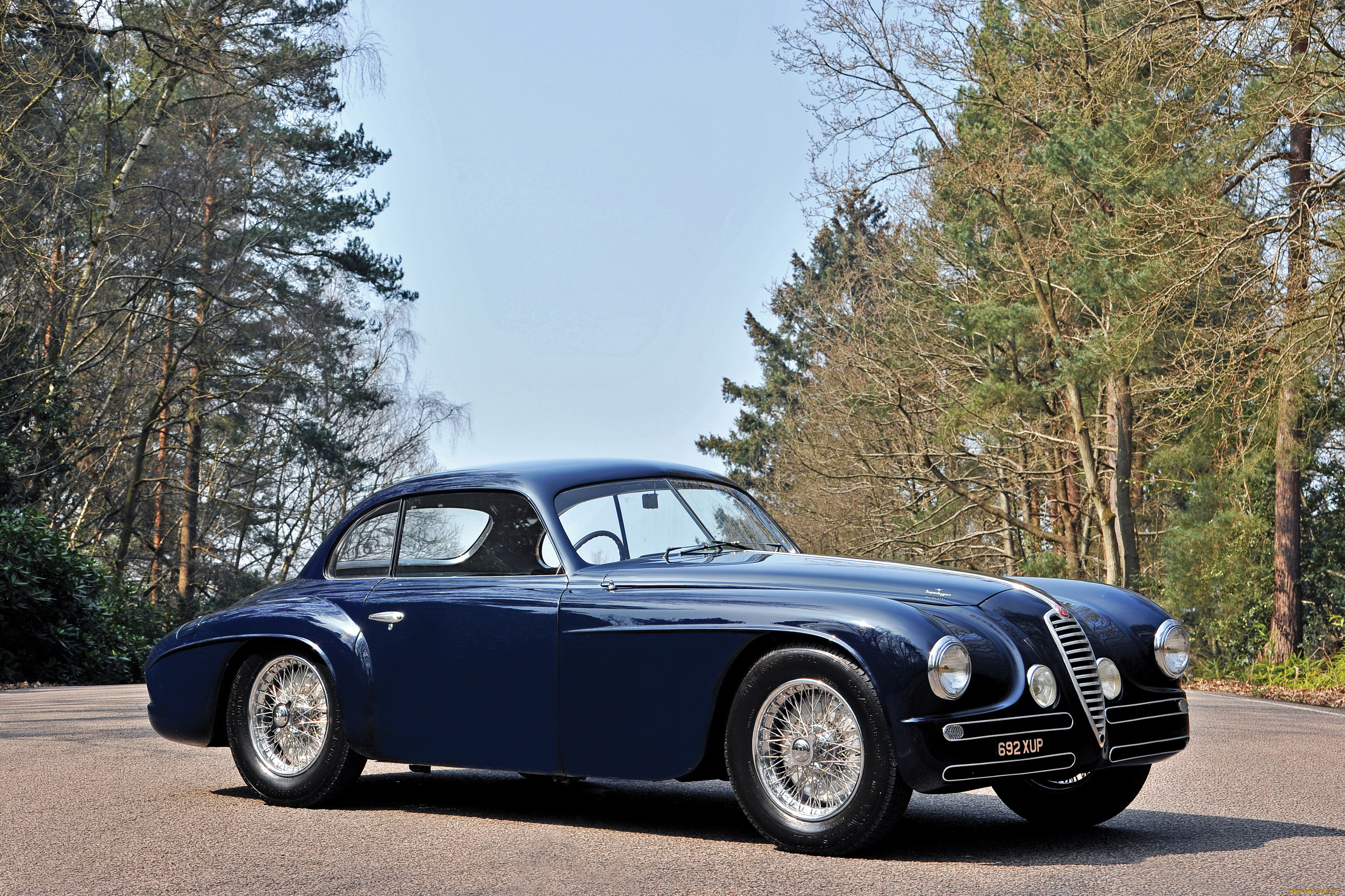 , alfa romeo, alfa